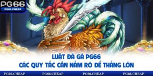 Luật Đá Gà PG66 - Các Quy Tắc Cần Nắm Rõ Để Thắng Lớn